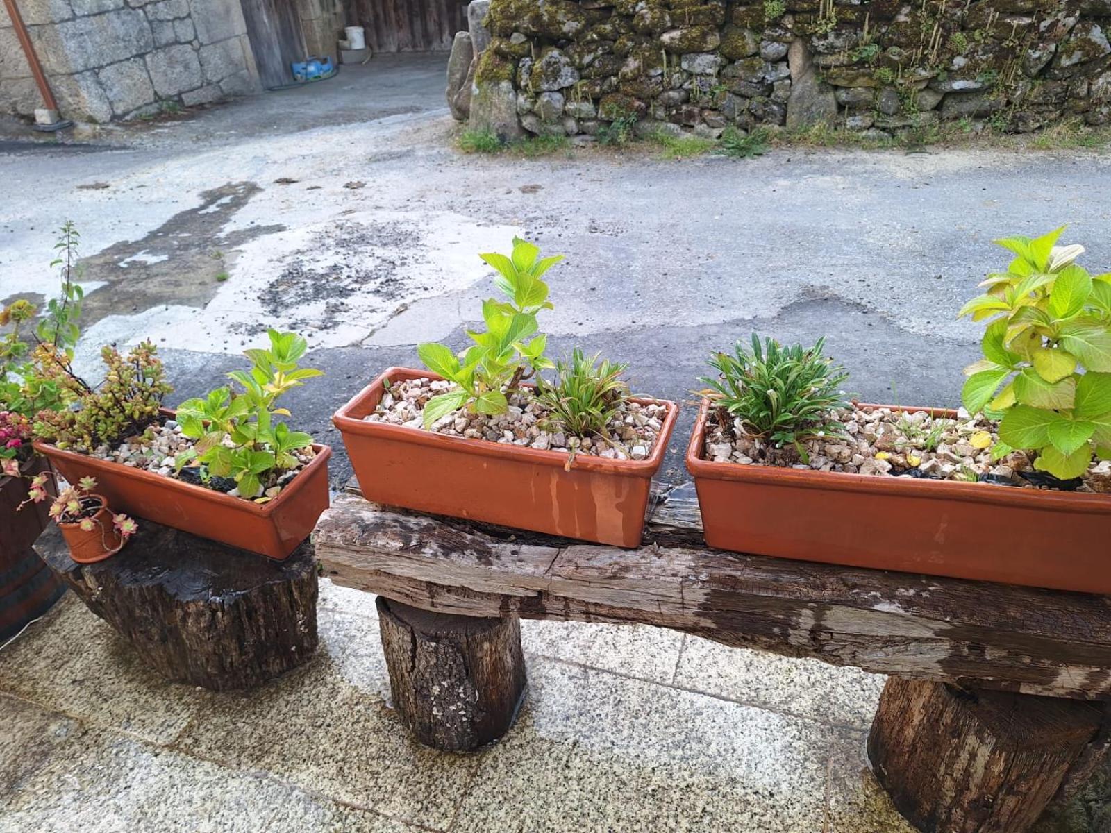 Pension O Corazon Da Ribeira Sacra La Teijeira Εξωτερικό φωτογραφία