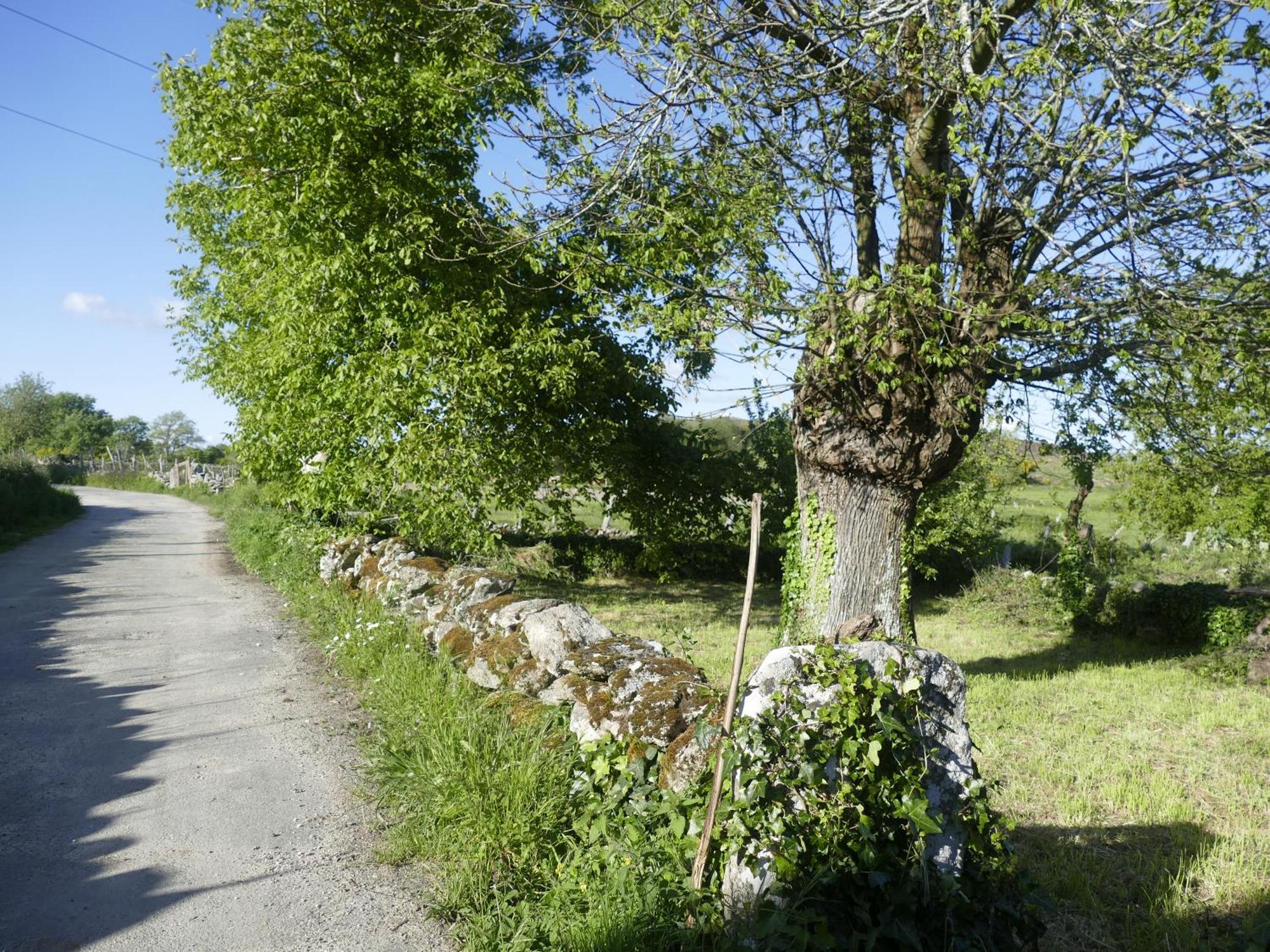 Pension O Corazon Da Ribeira Sacra La Teijeira Εξωτερικό φωτογραφία